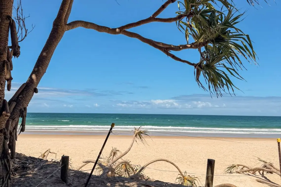 5395078b 017a 41 r7ZF1