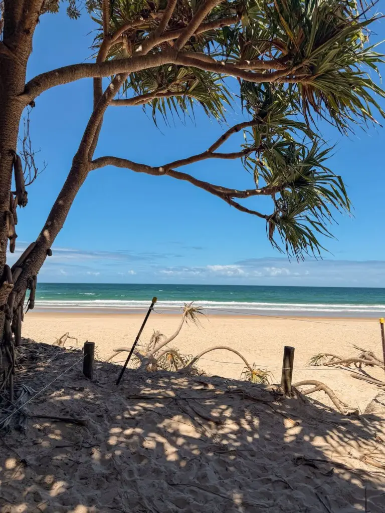 5395078b 017a 41 r7ZF1