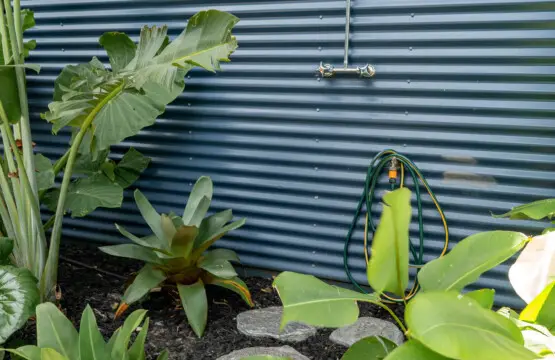 tjyzcqzm1q8smbufy31i